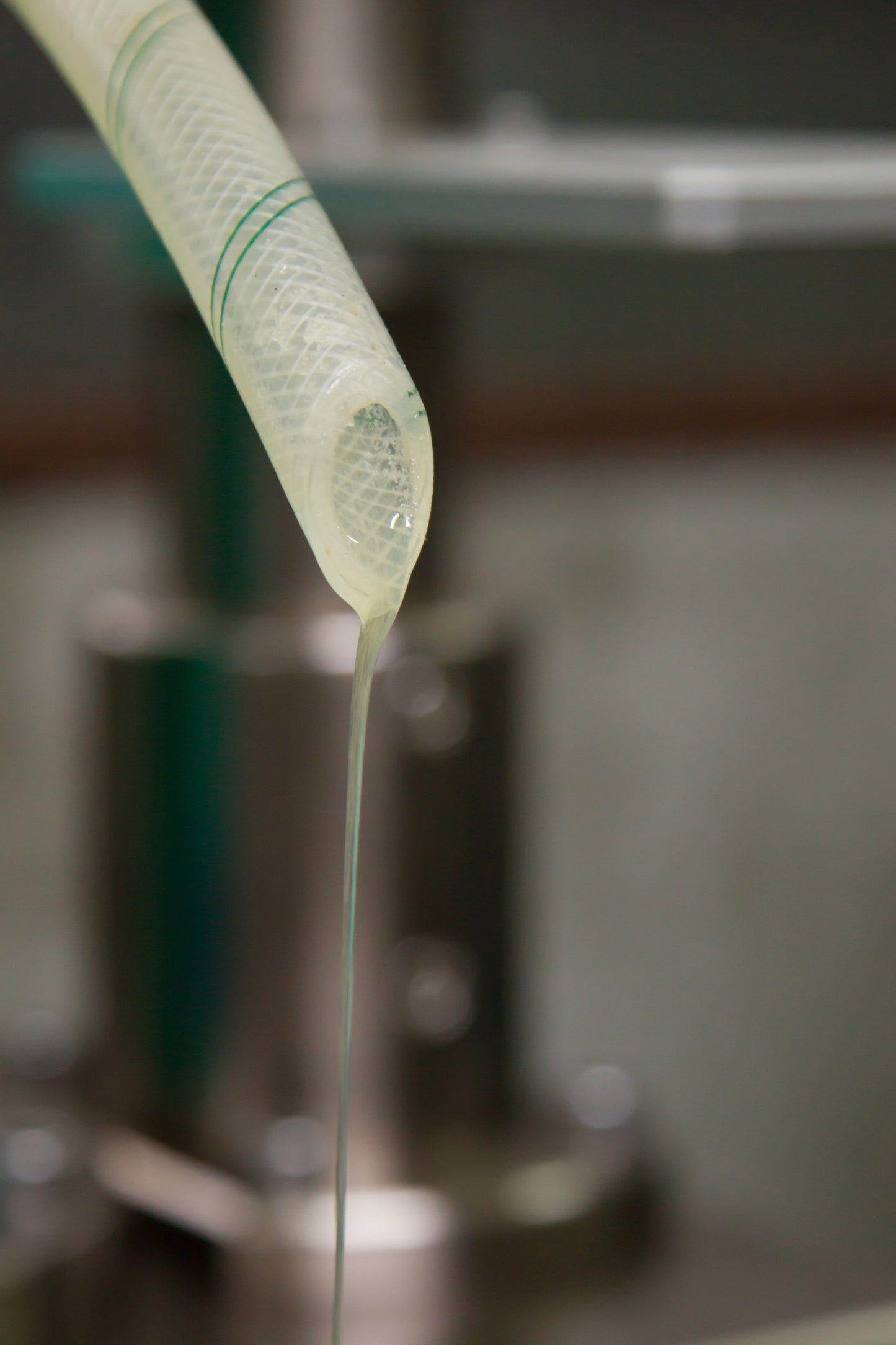 Extra virgin sesame oil