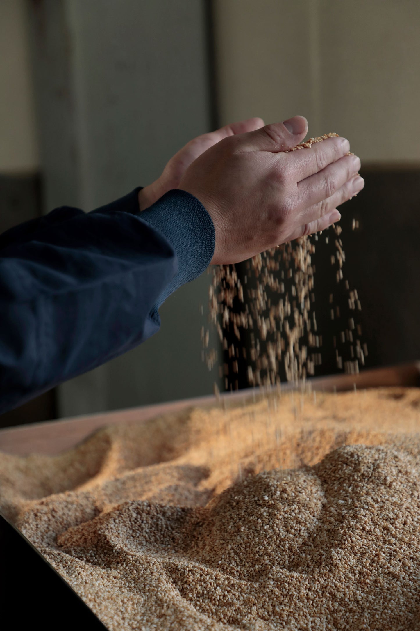 White sesame paste "Goma nerineri"