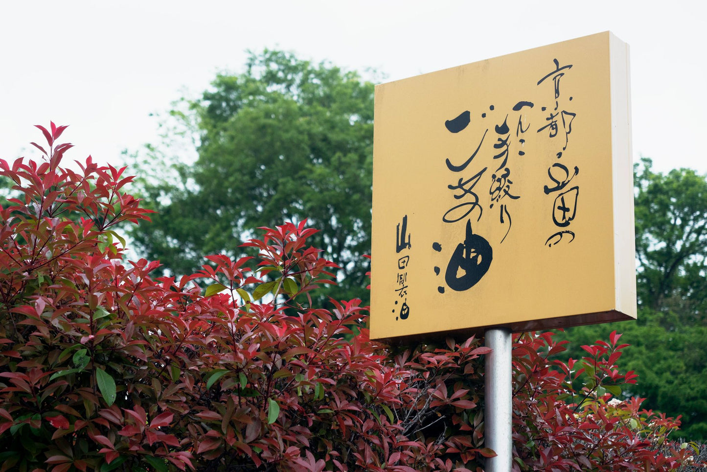 Henko"へんこ" Extra virgin sesame oil「一番絞りエキストラバージンごま油」