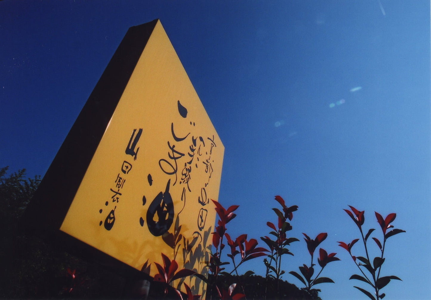 Extra virgin sesame oil